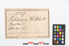 Etikett zu Bronzehalbmondgehängefibel (NHMW-PRAE-025387)